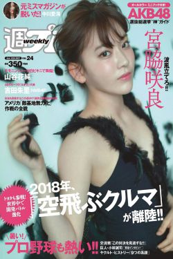 转盘轴承
